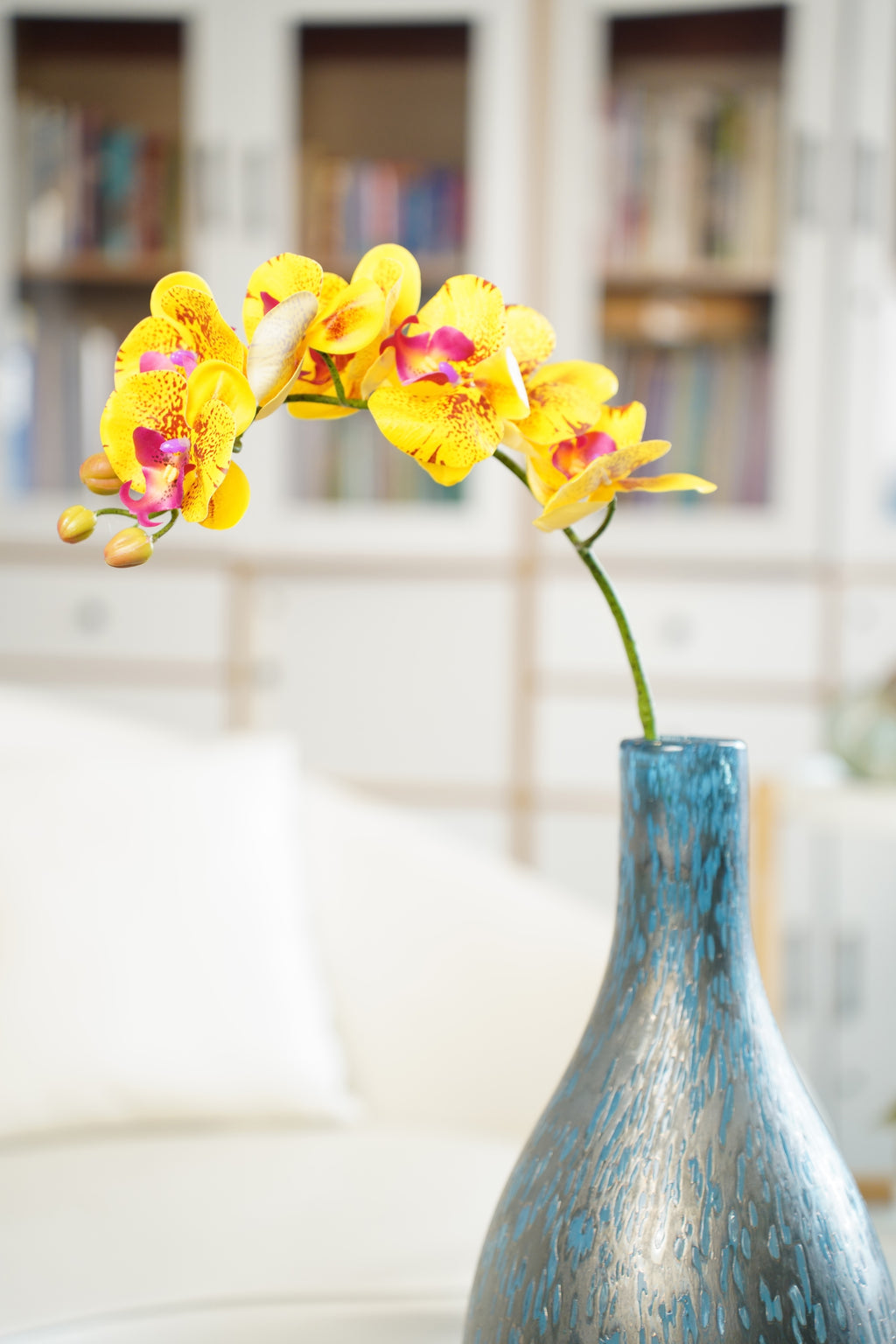 Phalaenopsis Orchid Stem, 85 cm (7 heads)