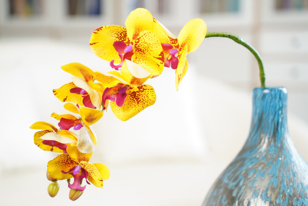 Phalaenopsis Orchid Stem, 85 cm (7 heads)