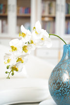 White Phalaenopsis Orchid, 98cm (9 Heads)