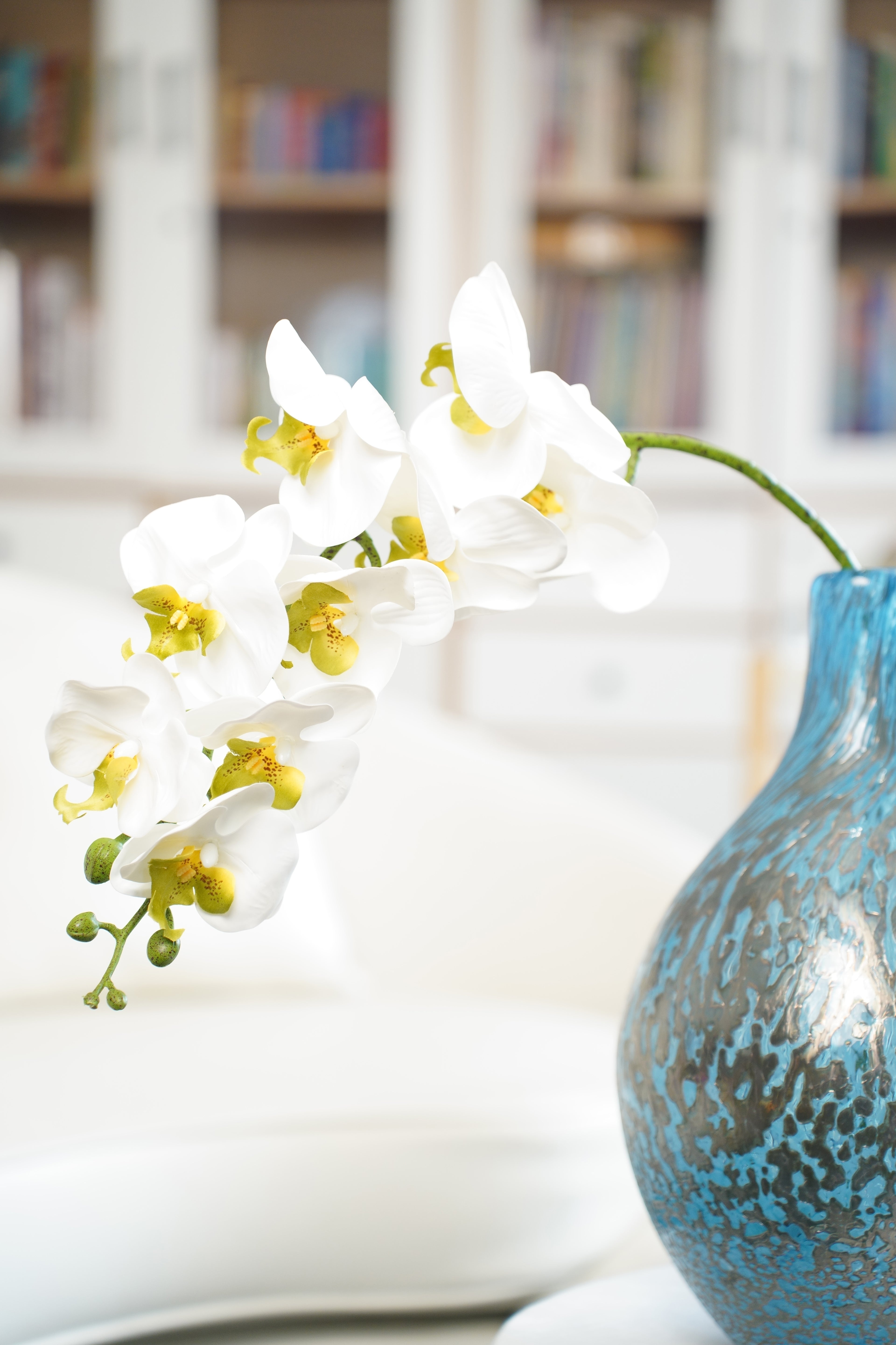 White Phalaenopsis Orchid, 98cm (9 Heads)