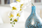 White Phalaenopsis Orchid, 98cm (9 Heads)