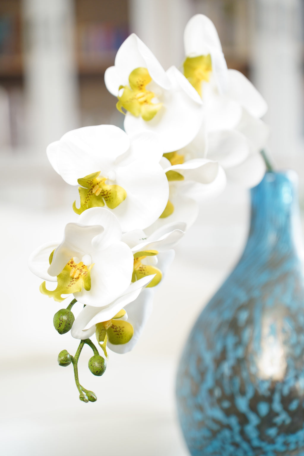 White Phalaenopsis Orchid, 98cm (9 Heads)