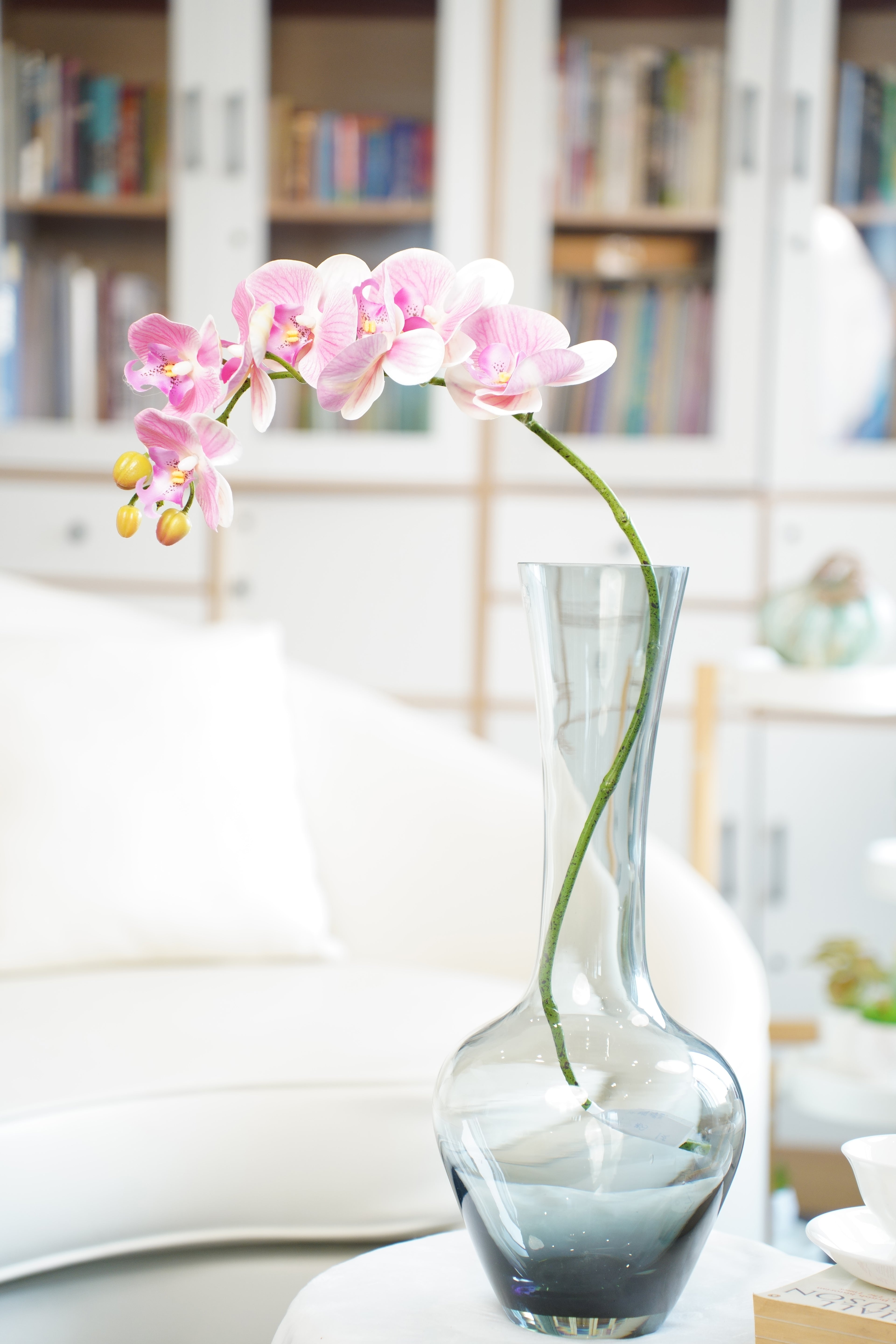 Phalaenopsis Orchid Stem, 85 cm (7 heads)
