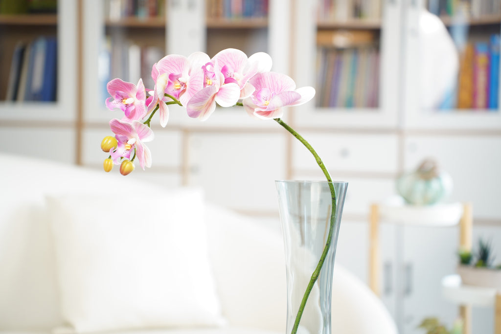 Phalaenopsis Orchid Stem, 85 cm (7 heads)