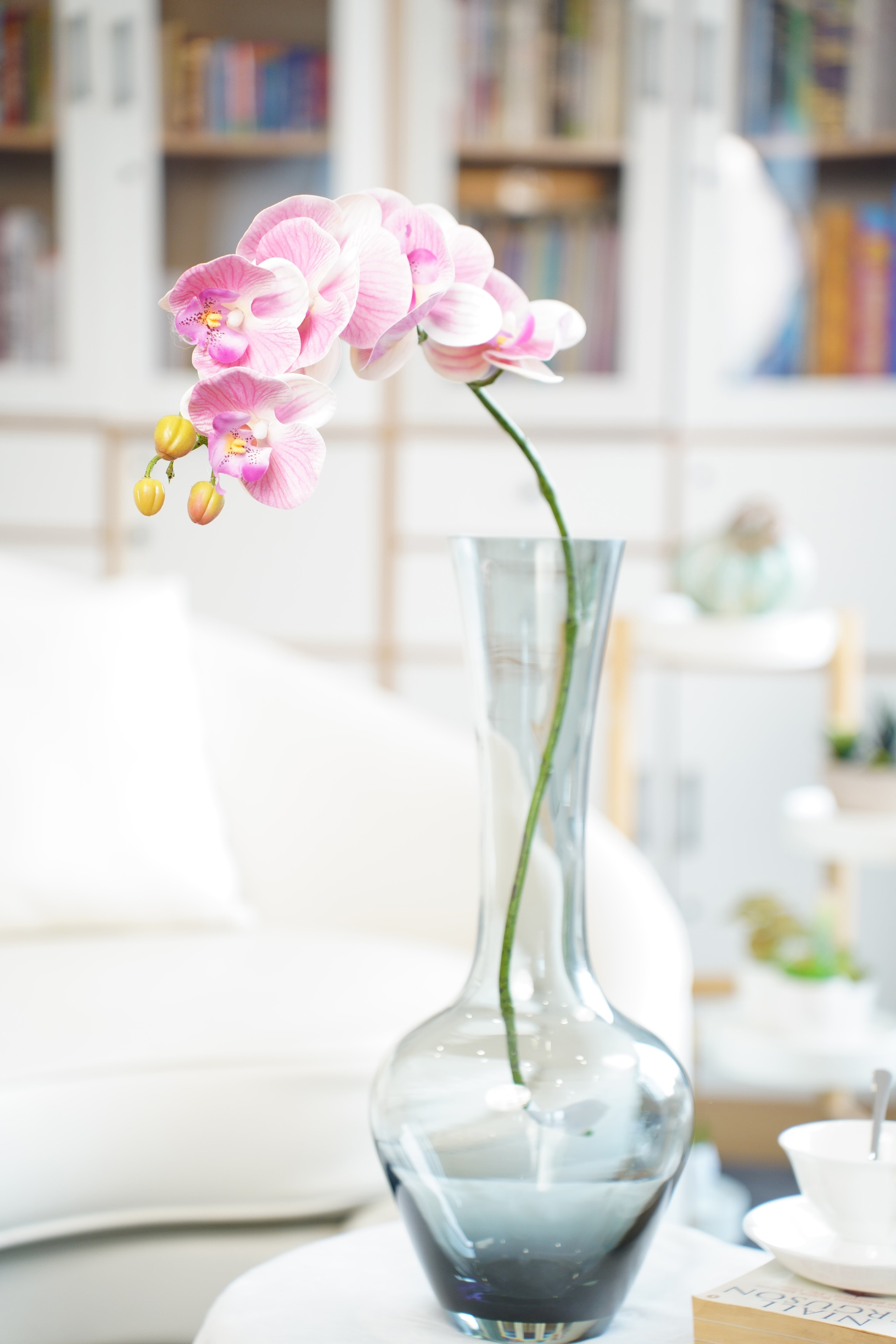 Phalaenopsis Orchid Stem, 85 cm (7 heads)