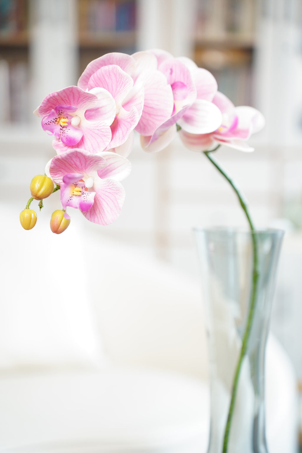 Phalaenopsis Orchid Stem, 85 cm (7 heads)