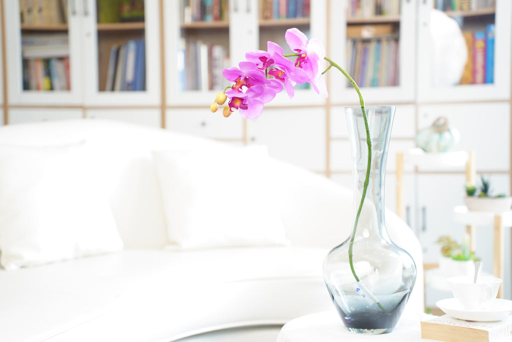 Phalaenopsis Orchid Stem, 85 cm (7 heads)