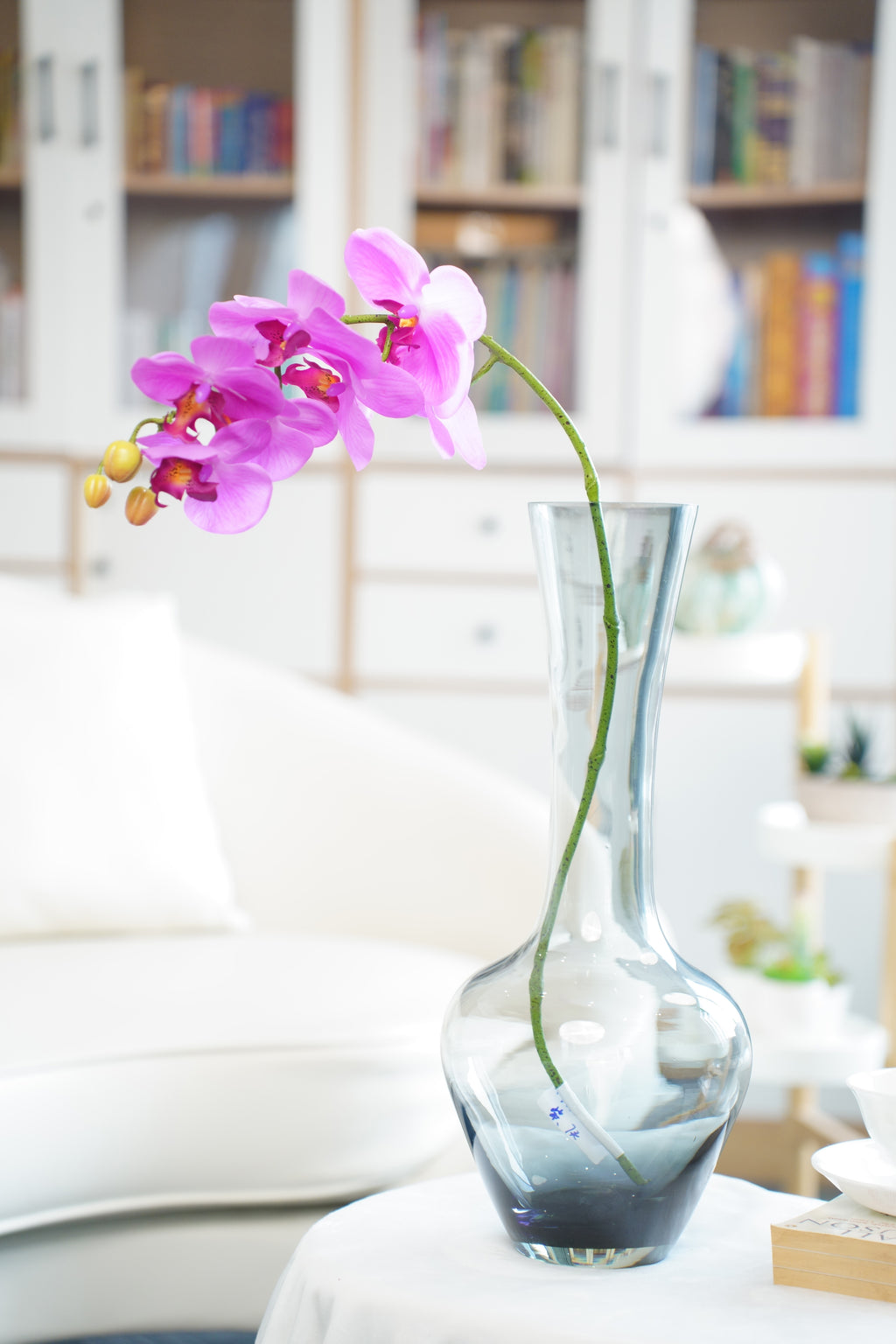 Phalaenopsis Orchid Stem, 85 cm (7 heads)