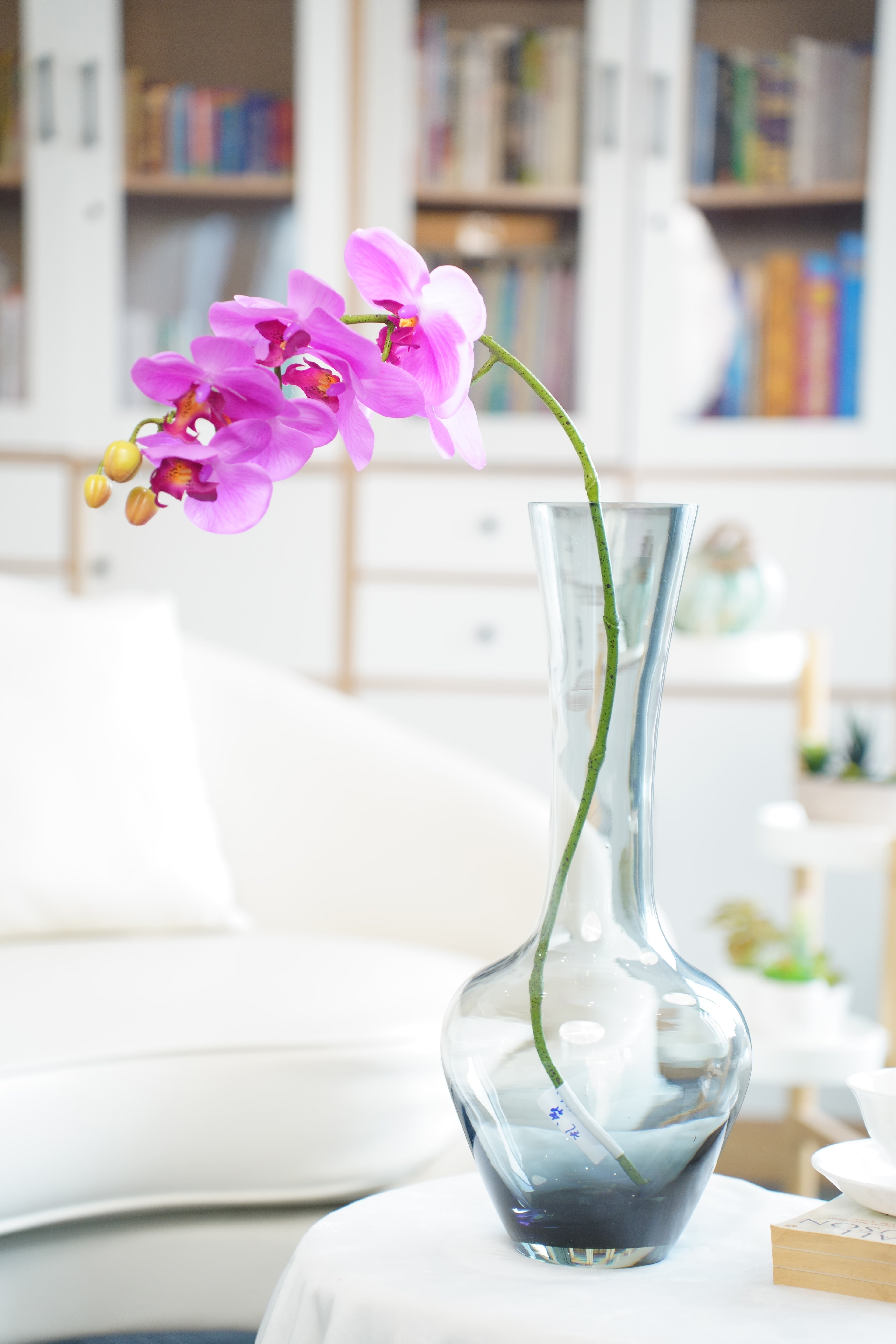 Phalaenopsis Orchid Stem, 85 cm (7 heads)
