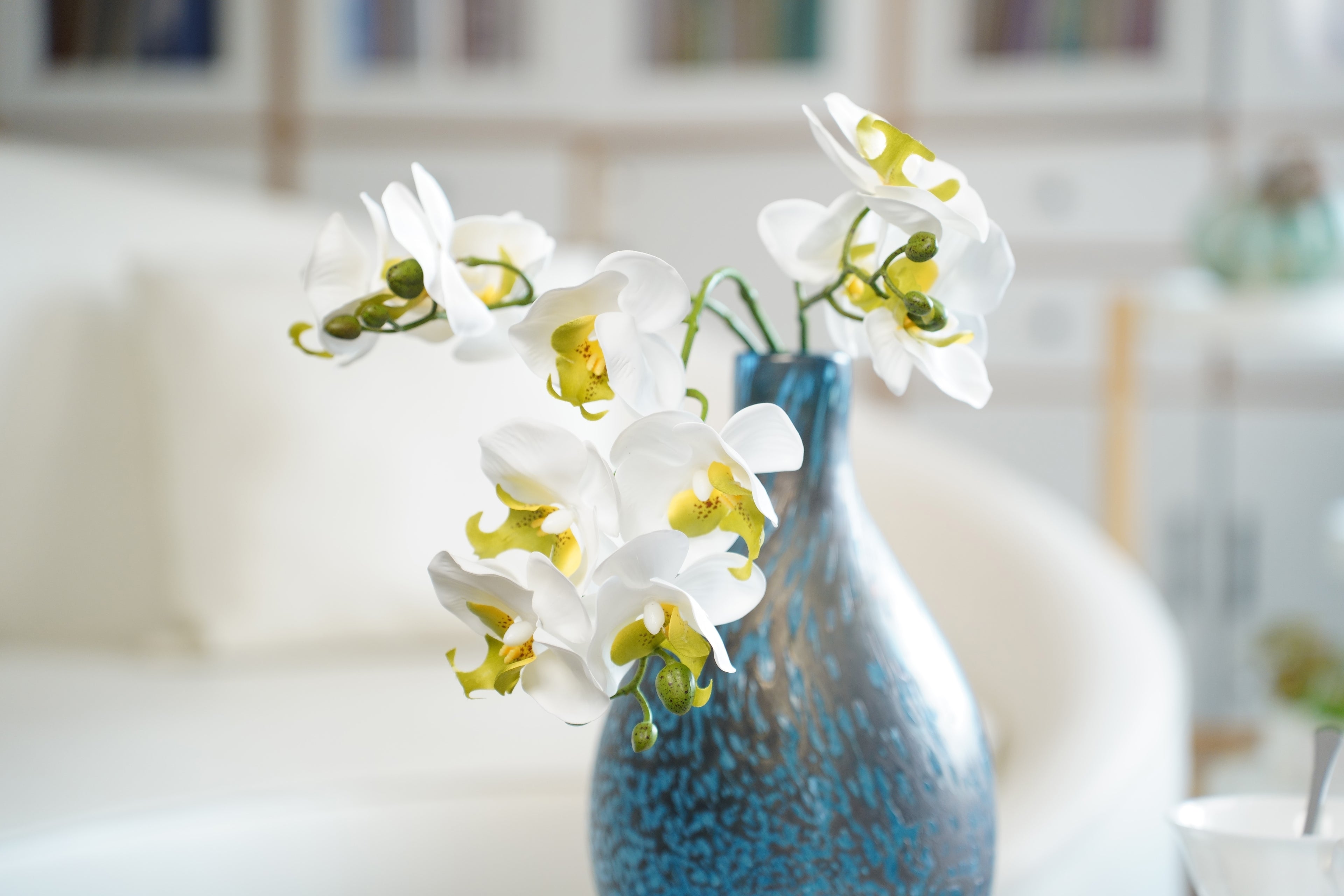 Full Phalaenopsis Orchid Stem, 54 cm (11 heads, 3 branches)