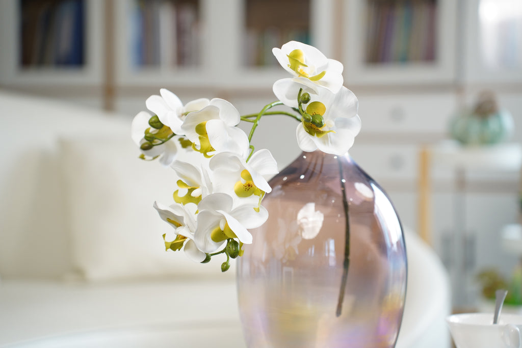 Full Phalaenopsis Orchid Stem, 54 cm (11 heads, 3 branches)