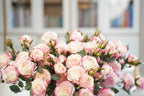 Vintage-Edge Garden Rose Stem, 66cm (6 heads)