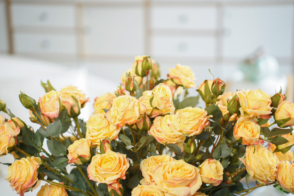 Vintage-Edge Garden Rose Stem, 66cm (6 heads)