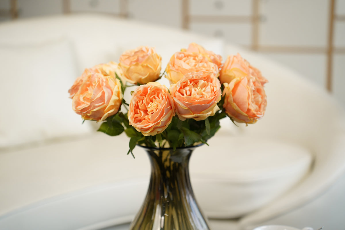 Aurelia Austin Rose Stem, 44 cm (Single Head)