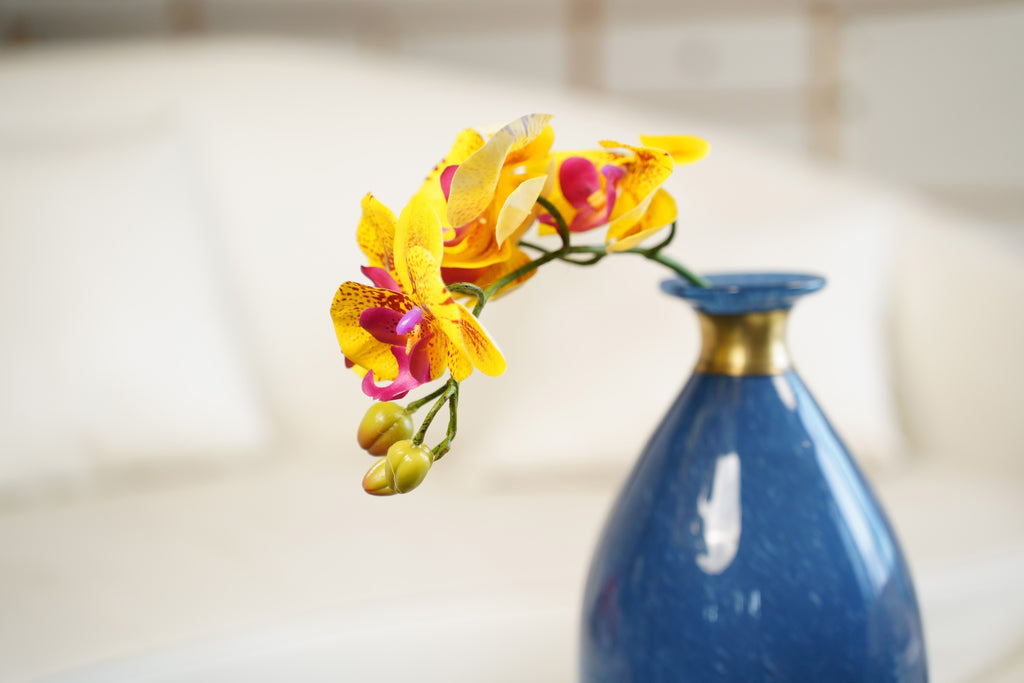 Petite Phalaenopsis Orchid Stem, 45 cm (5 heads)