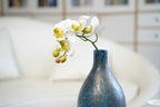 Petite Phalaenopsis Orchid Stem, 45 cm (5 heads)