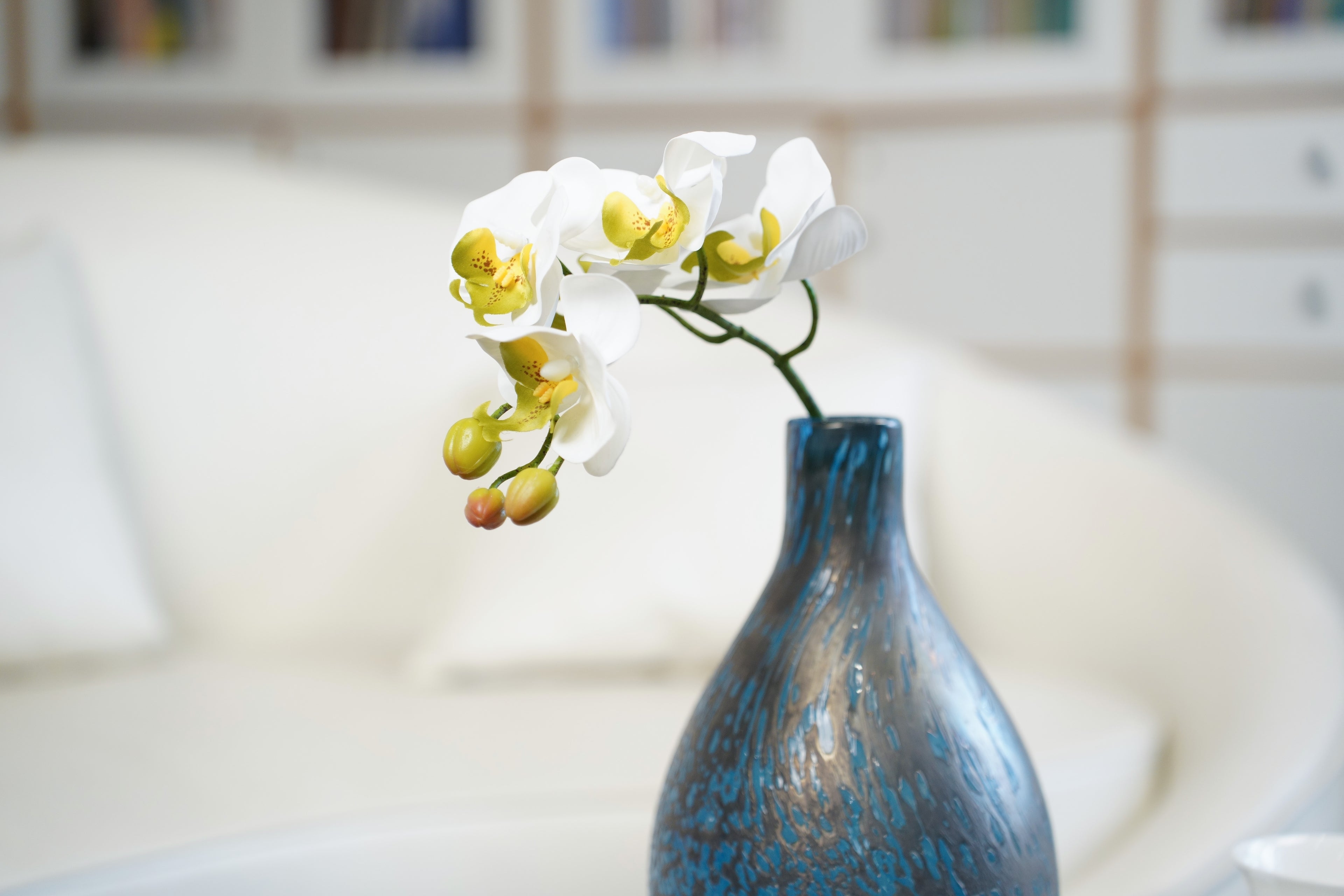 Petite Phalaenopsis Orchid Stem, 45 cm (5 heads)