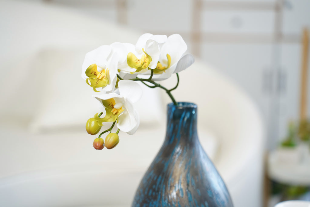 Petite Phalaenopsis Orchid Stem, 45 cm (5 heads)